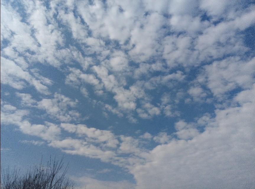 长簟迎风早，空城澹月华精准生肖谜语的科技释义、实践路径与不实鼓吹规避