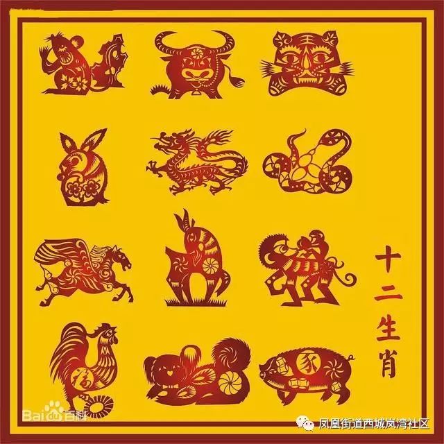 生肖文化的智慧与警醒，解析龙狗不怕开水烫蓝光再现一四财及防骗指南