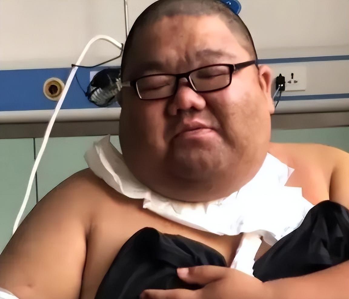 树上摘果易空枝，猴肖的警醒—莫贪伸手可得，谨防虚假标榜