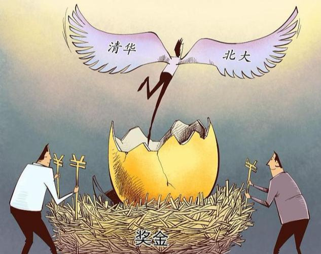 雷声雨声读书声里的生肖密码，文化传承、专家解析与防范欺诈假诱导的落实之道