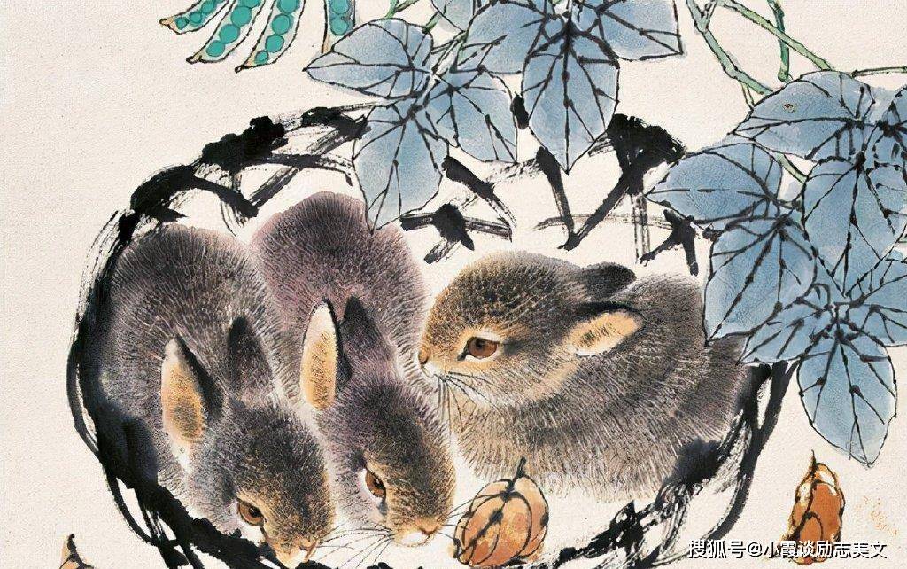 四大才子要人捧，兔生肖的新颖释义与专家深度解析及现代落实