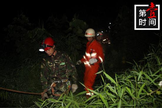 深山风动三更夜,解码生肖虎的玄机与文化落地 深山风动三更夜,解码生肖虎的玄机与文化落地