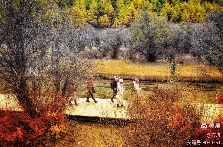 一九日出十光明,千山万水都走遍,解码生肖玄机与人生行旅的深层寓意 一九日出十光明,千山万水都走遍,解码生肖玄机与人生行旅的深层寓意