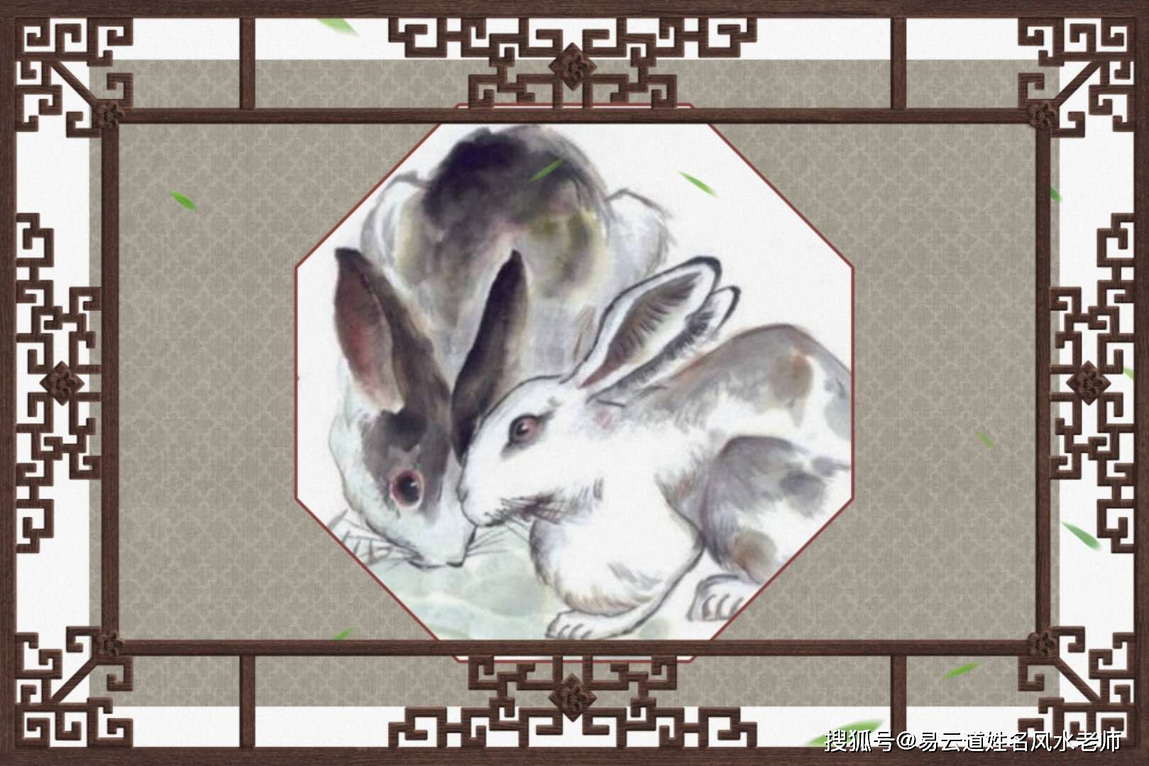 争得江南别有名，为将双泪问春风生肖兔解谜，痛点剖析、专家解读与承诺闭环落地