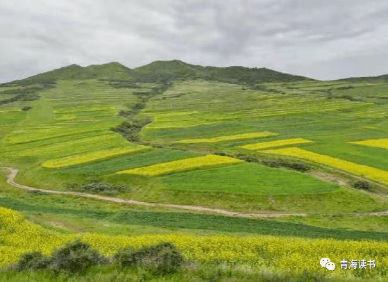 犄角弯弯食青草，从意象解构到现实落地的价值整合路径