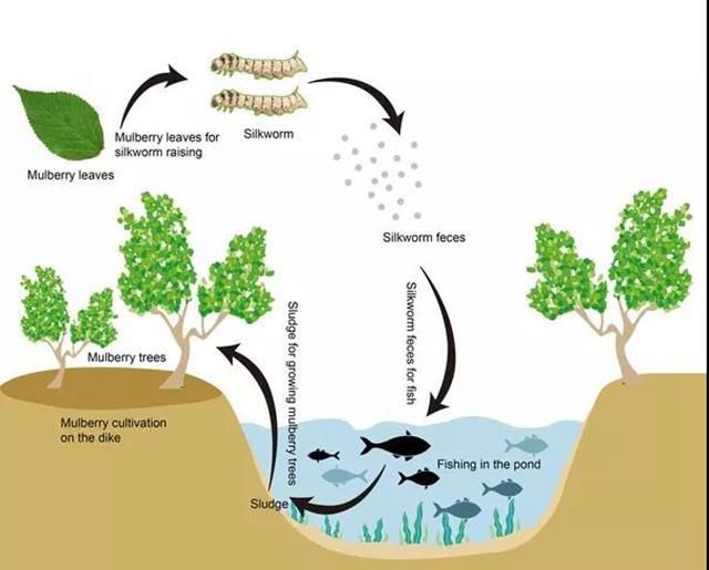 画图浅缥松溪水里的生肖密码，科技视角下的精准谜语解读与文化落实