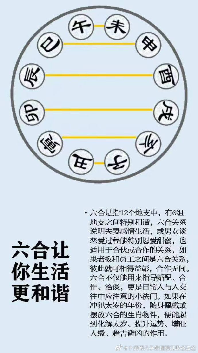 马后无人知，六合谁来合，解码生肖谜题中的文化基因与现实回响