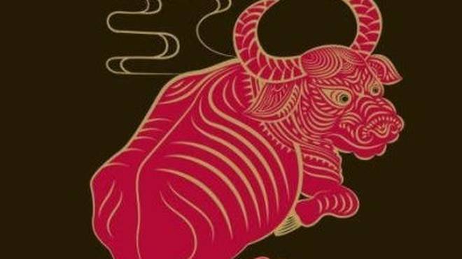 十二生肖精准猜解，龙壮四七万前峰与三七二九开很期的深度释义及实践落实