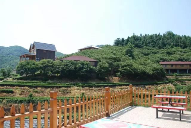 今期生肖二一开，三头两尾却为奇生肖谜解读，民俗视角下的娱乐与理性规避