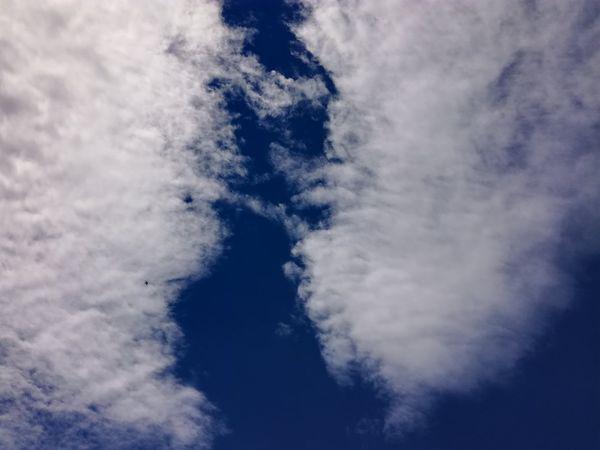 走南穿北图享受，偷香窍玉何时休？生肖谜语的科技解码与文化落地