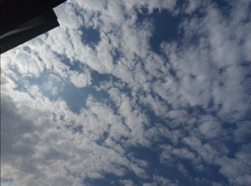 长簟迎风早，空城澹月华精准生肖谜语的科技释义、实践路径与不实鼓吹规避