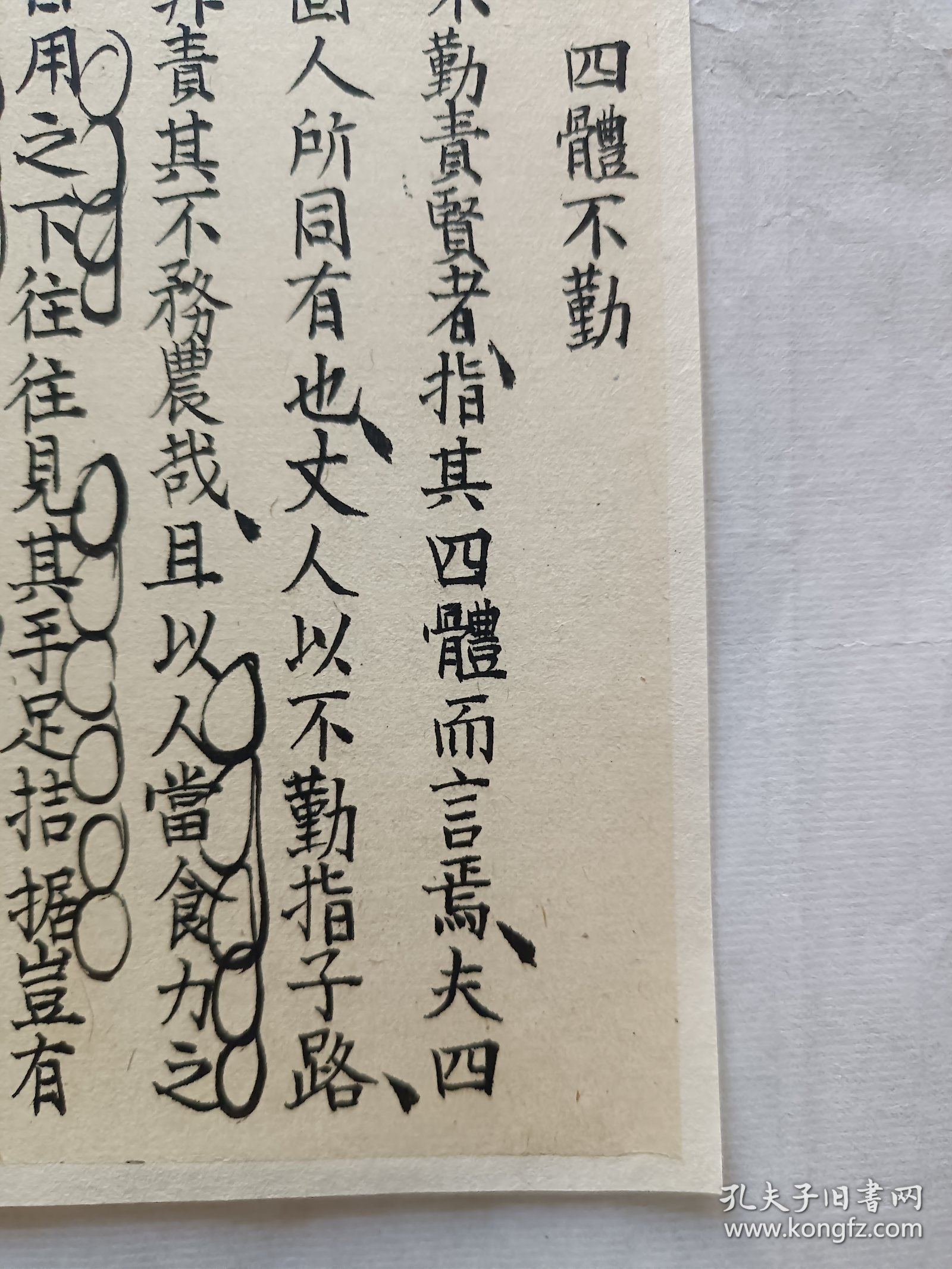 四体不勤在家中，红红眼睛吃绿草生肖谜底解析，文化寓意、科学解读与理性认知指南