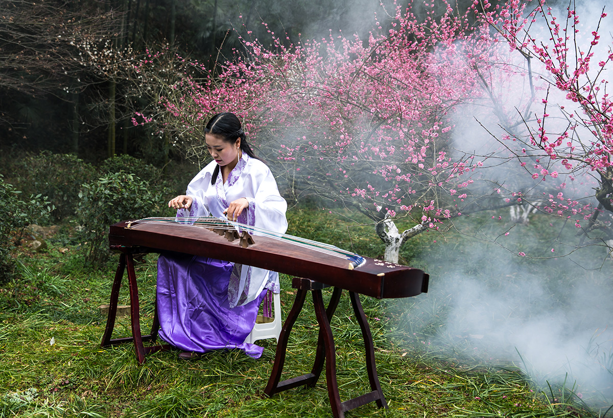 笛韵梅香映龙影—笛愁春尽梅花里，瞻望朱轮骈鼓吹的生肖密码与文化新解