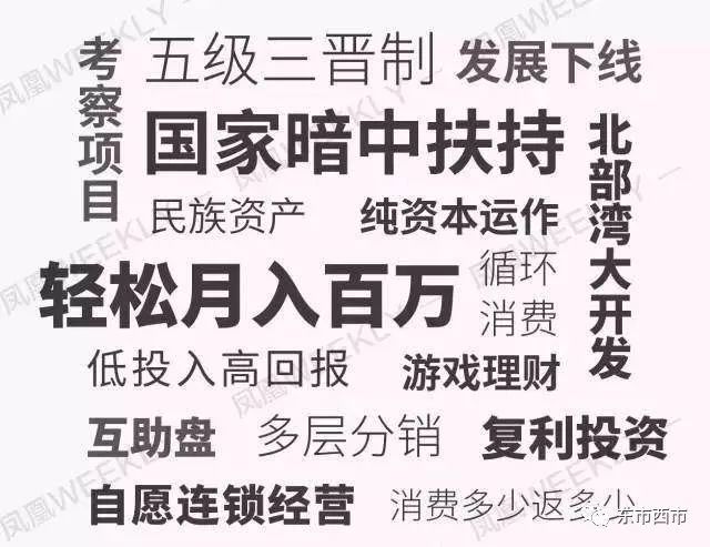 三顾茅庐，刘备进深山背后的痛点释义、专家解析与现实落实