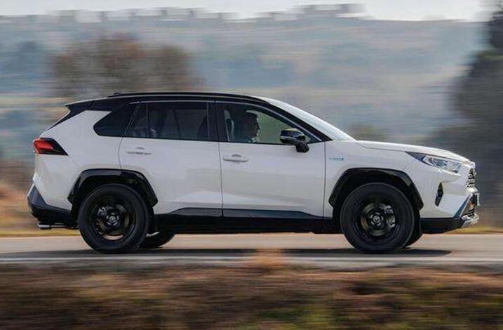 但展手天地平量生肖解谜，精准释义、专家解读与理性落实指南