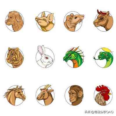 得定灵码投下注，生肖文化的趣味表达与理性审视