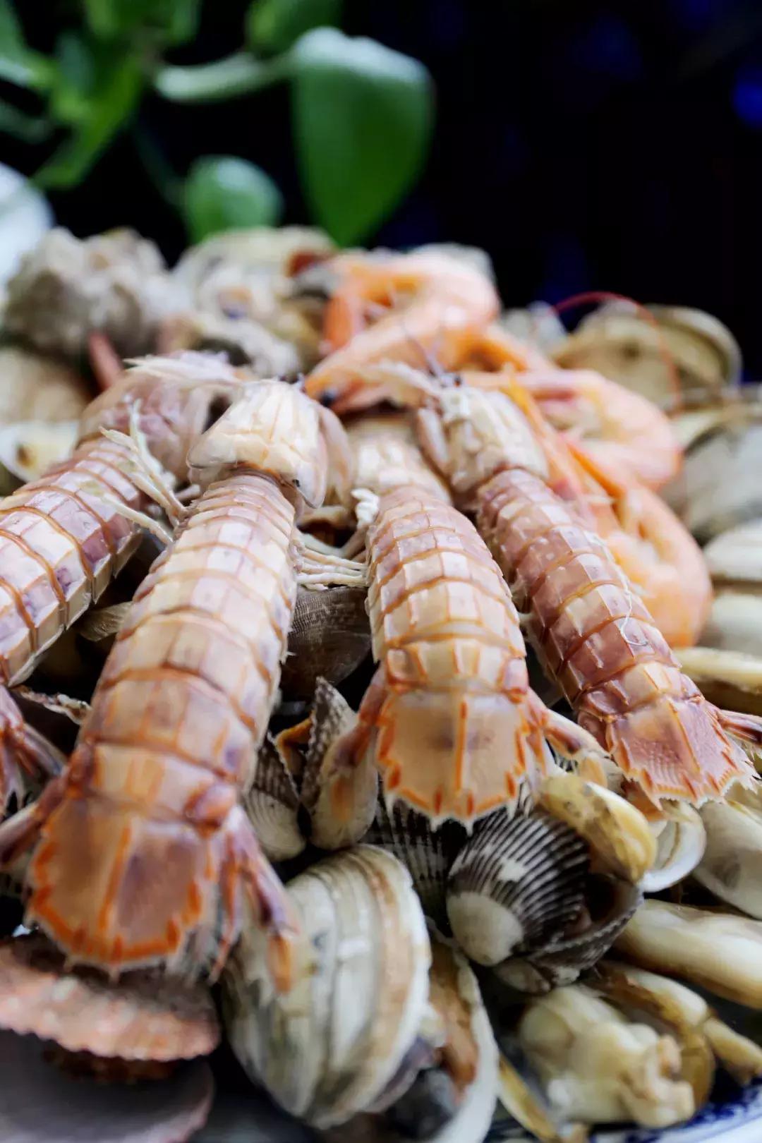 红红蓝双杀蓝单聚焦四大生肖 牛狗羊猪品质解读与专家预测落实指南