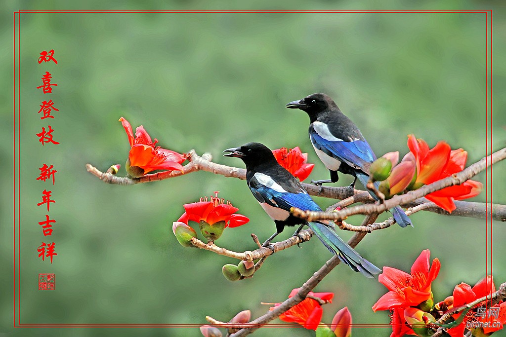 双春添喜兆丰年,难得双立春民俗解析与二三前后生肖玄机深度解码 双春添喜兆丰年,难得双立春民俗解析与二三前后生肖玄机深度解码