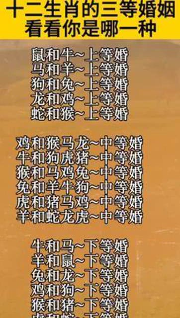 生肖谜局的文化解码，从九字独取二来合到四六当年有走的创新解读与理性引导