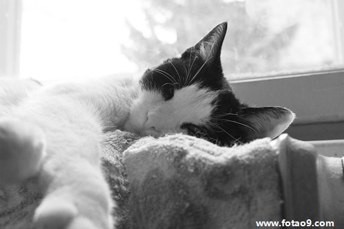 枕上分明梦见，从潜意识镜像到生命觉醒的三重叩问