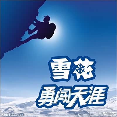 只为好奇勇闯天下，生肖猴的精神密码与现实践行—兼谈如何远离欺骗迷雾