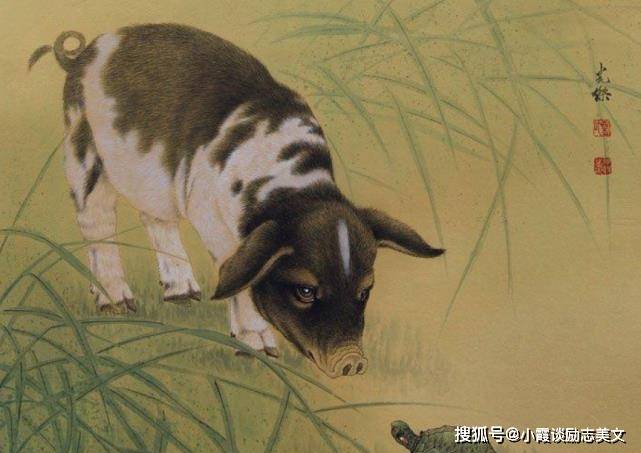 欲钱寻诚心生肖，新式村官引领下的精准生肖解析与文化振兴