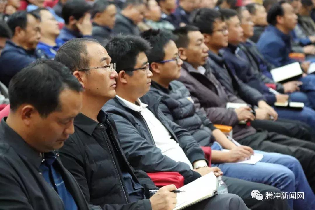 谩怅望谁招断魂，正高秋霜晴木落，戌狗品质的古典解码与现实回响—精准生肖解读、专家解析及践行路径