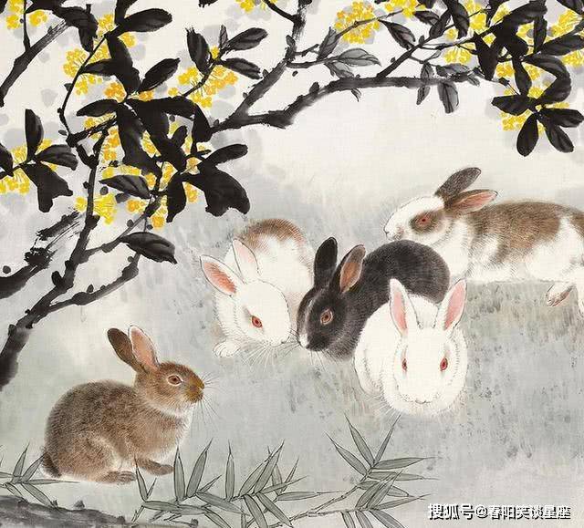露凝玉屑金盘冷,烛短屏空—生肖兔的清冷哲思与当代价值解读 露凝玉屑金盘冷,烛短屏空—生肖兔的清冷哲思与当代价值解读