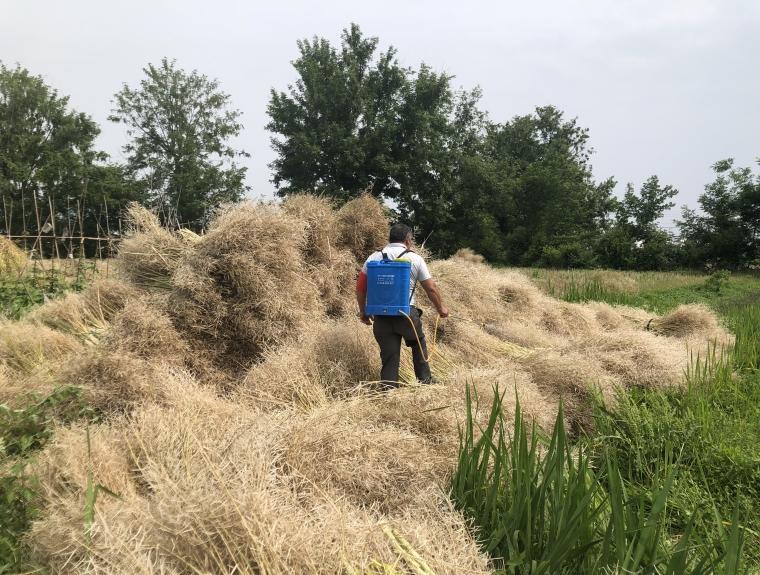谩怅望谁招断魂，正高秋霜晴木落，戌狗品质的古典解码与现实回响—精准生肖解读、专家解析及践行路径