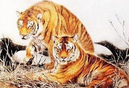 光阴虎蛇谜中谜，生肖文化的科技解码与诚信承诺的破局之路