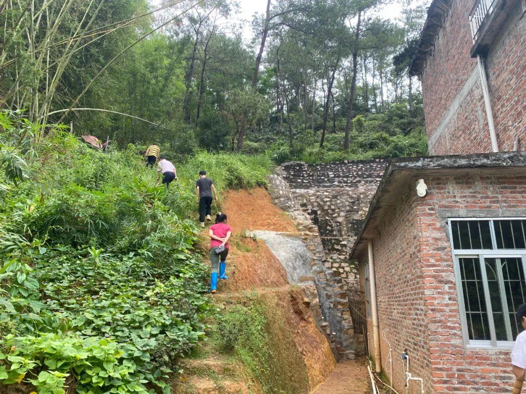 警惕猜生肖类虚假诱导，远离欺诈陷阱，守护财产安全