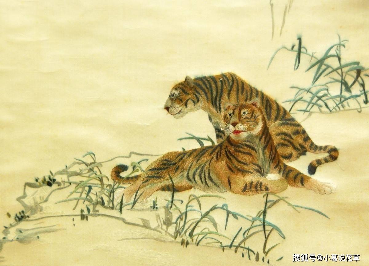 趋火打劫虎行处,生肖虎的智慧新解与时代启示 趋火打劫虎行处,生肖虎的智慧新解与时代启示