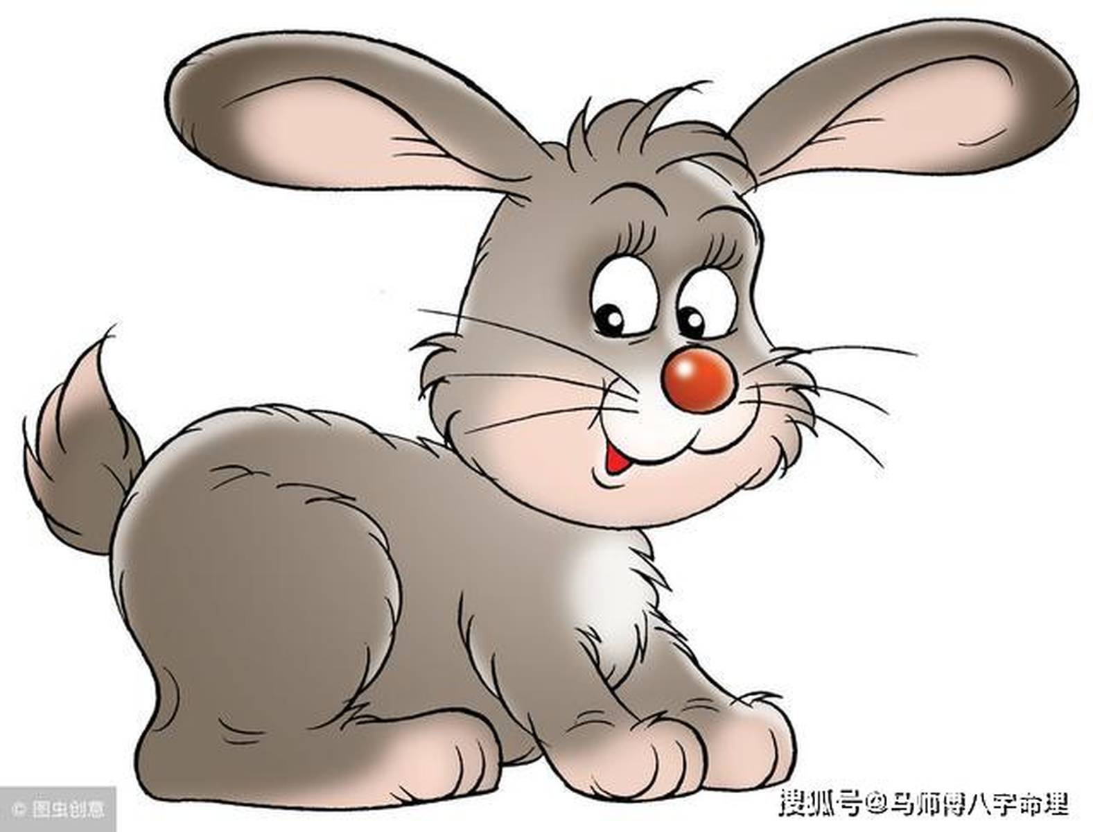 月作明灯夜夜光，玉兔衔辉照人间—生肖兔的新颖释义与时代效能解读