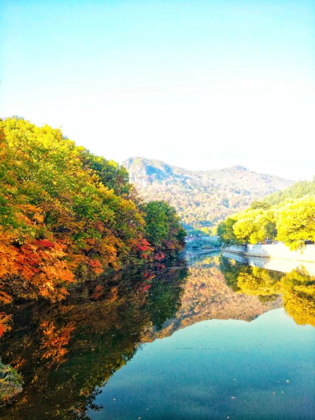 一九日出十光明,千山万水都走遍,解码生肖玄机与人生行旅的深层寓意 一九日出十光明,千山万水都走遍,解码生肖玄机与人生行旅的深层寓意