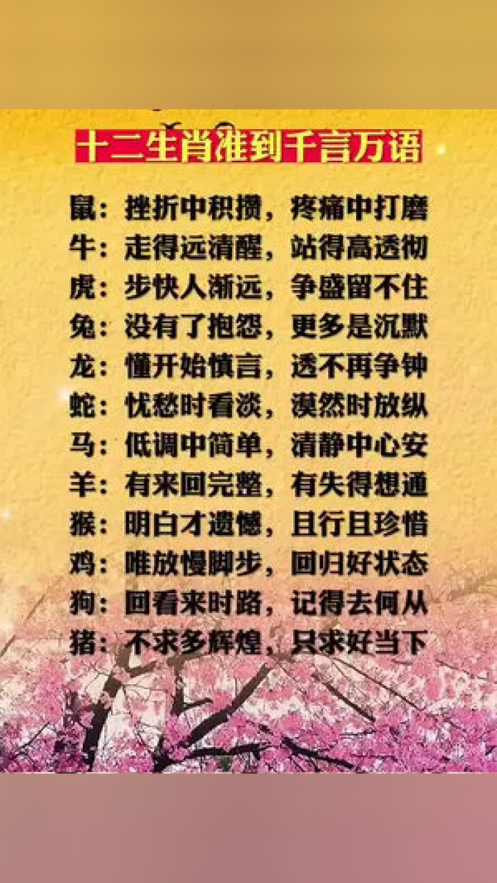 从一三北望到炮竹震天，生肖密码的精准解读与文化落实