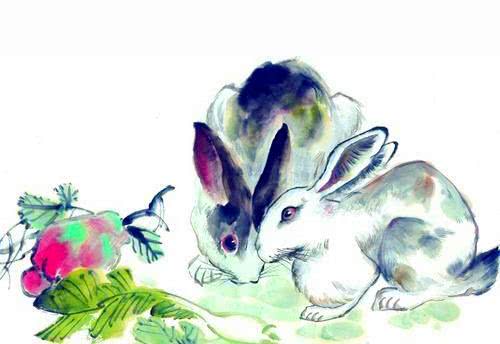 月作明灯夜夜光，玉兔衔辉照人间—生肖兔的新颖释义与时代效能解读