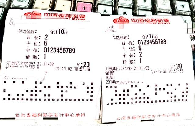 生肖彩票术语解析与理性引导，从绝杀兔虎到远离赌博诱惑