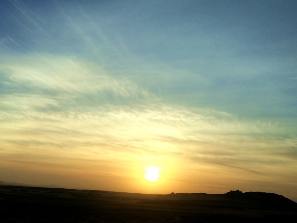 一九日出十光明，千山万水都走遍，生肖马的解谜、痛点解析与破局指南